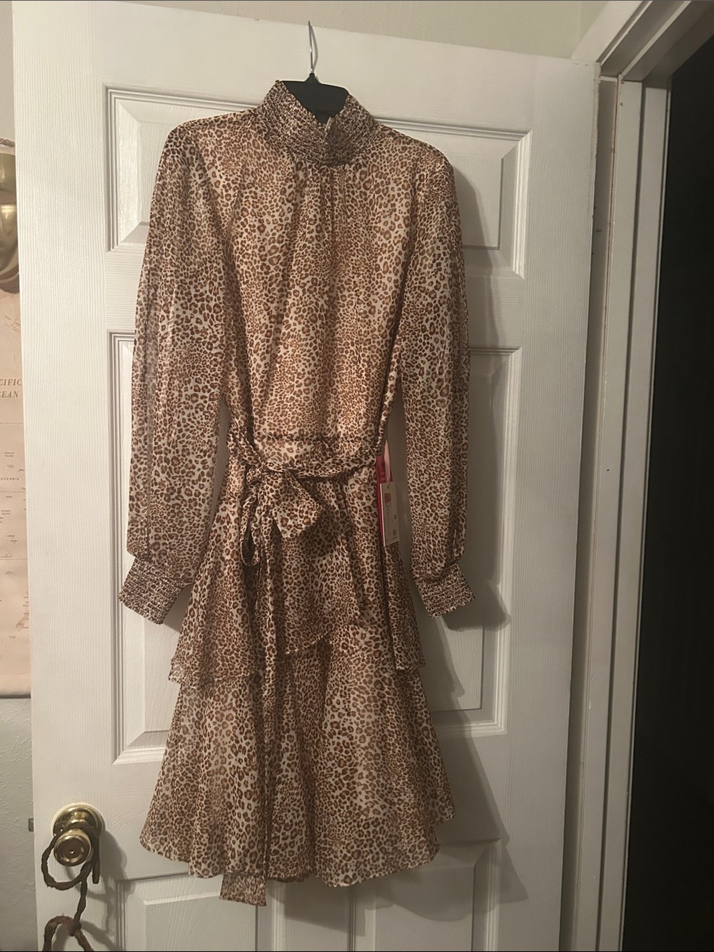 Leopard Print Long Sleeve Tiered Midi Dress in Brown